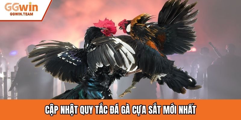 Cập nhật quy tắc đá gà cựa sắt mới nhất