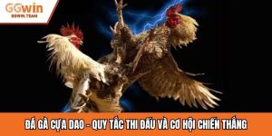 Đá Gà Cựa Dao
