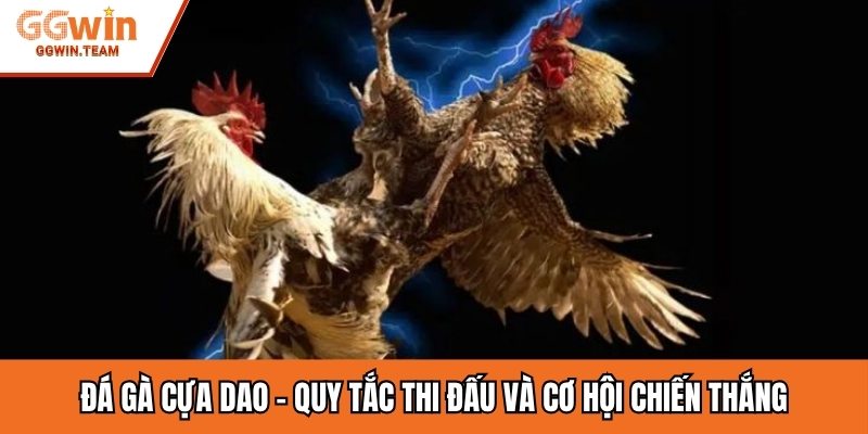 Đá Gà Cựa Dao